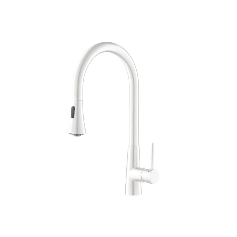 Isenberg Zest - Dual Spray Stainless Steel Kitchen Faucet With Pull Out