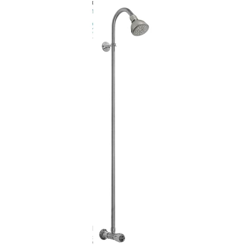 Outdoor Shower Wall Mount Single Supply Shower - ADA Metered Valve, 3'' Shower Head - Stainless Steel